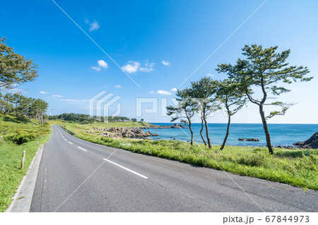 青森県八戸市種差海岸　東山魁夷の「道」のモチーフになった風景 67844973