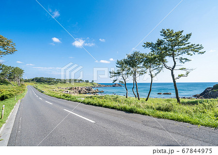 青森県八戸市種差海岸 東山魁夷の「道」のモチーフになった風景 青森県八戸市種差海岸 東山魁夷の「道」のモチーフになった風景 67844975