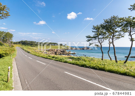 青森県八戸市種差海岸 東山魁夷の「道」のモチーフになった風景 青森県八戸市種差海岸 東山魁夷の「道」のモチーフになった風景 67844981