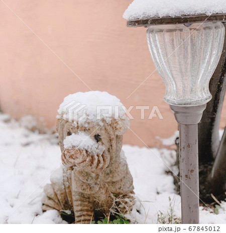 雪に埋もれる子犬の置物とガーデンランプ 雪に埋もれる子犬の置物とガーデンランプ 67845012