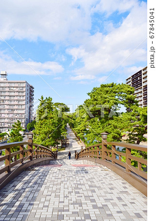 草加松原（埼玉県草加市） 67845041