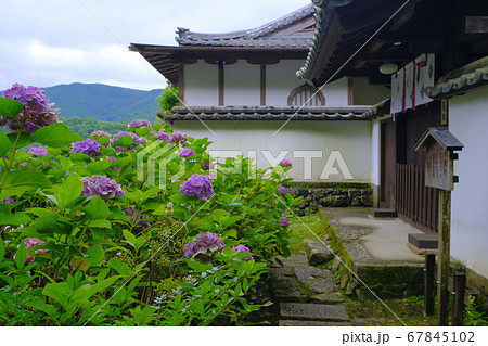 大和路の花の御寺 長谷寺 大和路の花の御寺 長谷寺 67845102