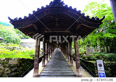 大和路の花の御寺 長谷寺 大和路の花の御寺 長谷寺 67845196