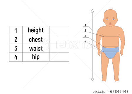 Caucasian Baby body measurements for tailoring and sewing. 67845443