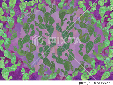 サボテンの背景素材 水彩 多肉植物 レトロ 紫のフレーム サボテンの背景素材 水彩 多肉植物 レトロ 紫のフレーム 67845527