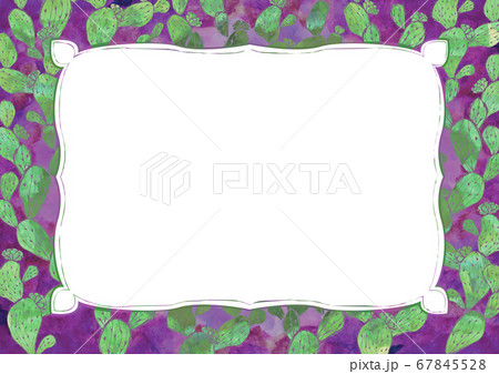 サボテンの背景素材 水彩 多肉植物 レトロ 紫のフレーム サボテンの背景素材 水彩 多肉植物 レトロ 紫のフレーム 67845528
