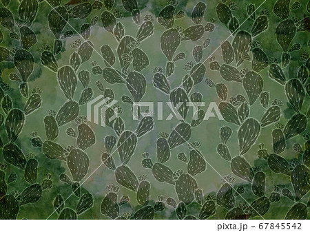 サボテンの背景素材 水彩 多肉植物 レトロなフレーム 緑色のイラスト素材 サボテンの背景素材 水彩 多肉植物 レトロなフレーム 緑色のイラスト素材