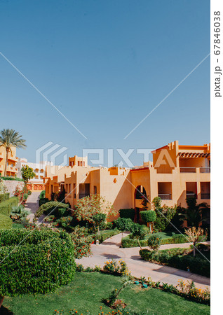 Luxury holiday villa with palm tree 67846038