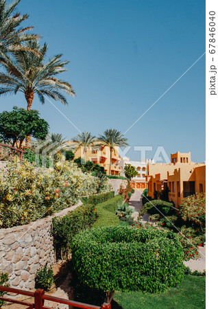 Luxury holiday villa with palm tree 67846040