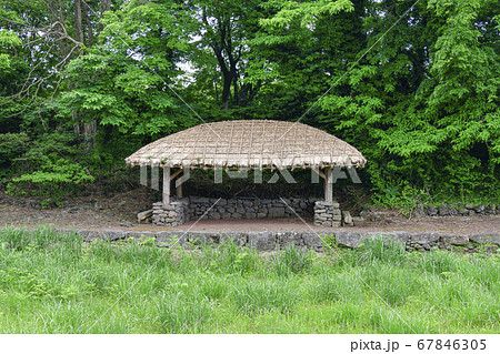 済州市 済州島 公園 67846305