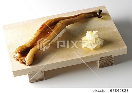 寿司台の上の穴子一本握り（白背景） 67846323