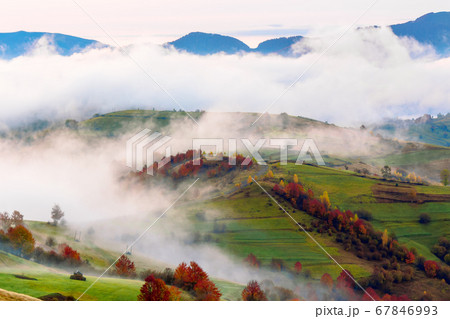 autumn sunset in mountains. tree top among the fog 67846993