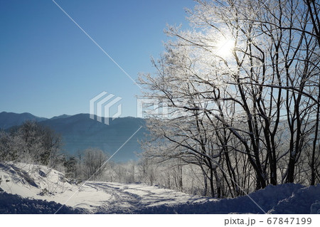 冬の雪景色、朝日が差し込み、輝く早朝の雪道の写真素材 [67847199] - PIXTA