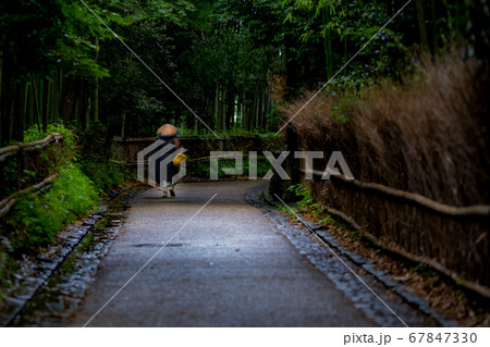竹林を抜けてお勤めに向かう僧侶 67847330