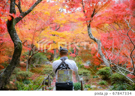 紅葉の宝筐院と俥夫 67847334