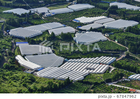 西帰浦市 済州島 ビニールハウス 67847962