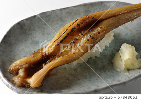 お皿の上に盛り付けられた炙り煮穴子の一本握り（白背景） 67848063