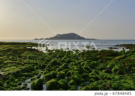 ヒョプジェ海水浴場 済州市 風景 67848485