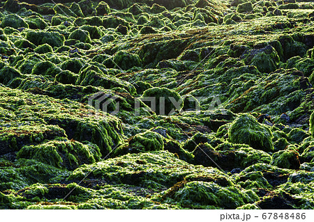 ヒョプジェ海水浴場 済州市 海 67848486