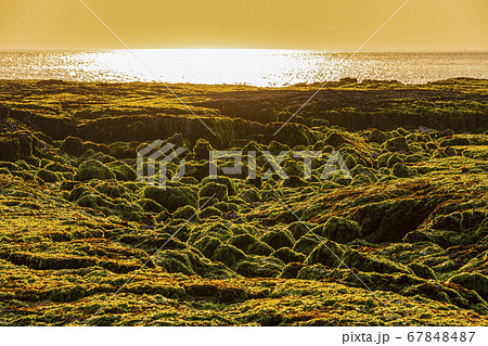 済州市 海 岩 67848487