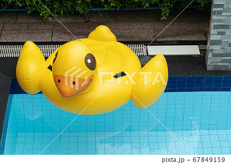 Top view of big yellow duck on swimming pool. Top view of big yellow duck on swimming pool. 67849159