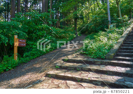 東京八王子市 初夏の高尾山 もみじ台付近の5号路周回、高尾山頂方面分岐の道標 東京八王子市 初夏の高尾山 もみじ台付近の5号路周回、高尾山頂方面分岐の道標 67850221