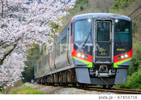2700系 特急「南風」と桜(JR四国) 2700系 特急「南風」と桜(JR四国) 67850756