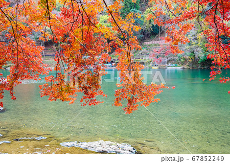 colorful leaves mountains and Katsura river in 67852249