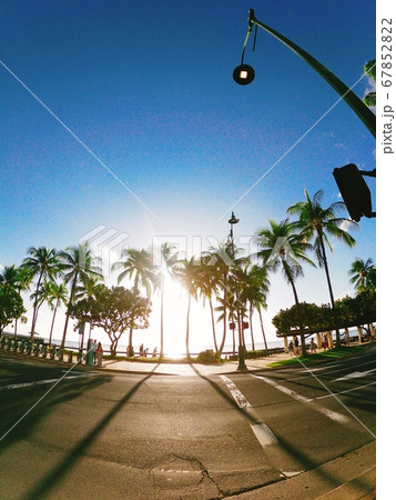 ハワイでの風景ヤシの木と朝焼けの写真素材