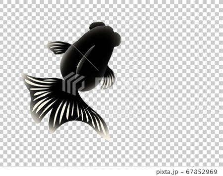 Illustration Of A Goldfish Seen From Above Stock Illustration