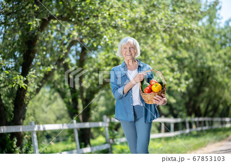 Cheerful elderly woman gathering her vegetable harvest Cheerful elderly woman gathering her vegetable harvest 67853103