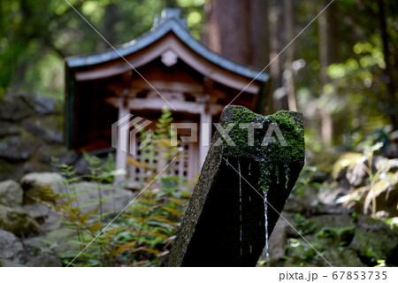 狸谷山不動院 清水 狸谷山不動院 清水 67853735