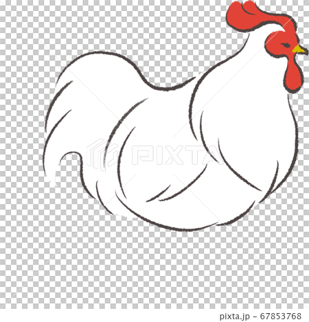 休んでいるにわとりのイラスト 休んでいるにわとりのイラスト 67853768