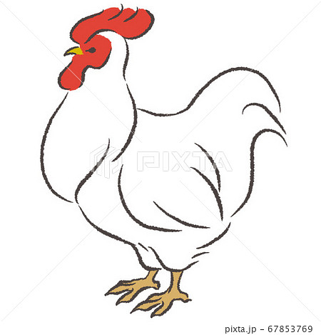 佇んでいるにわとりのイラストのイラスト素材