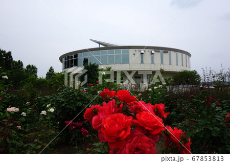 道の駅めぬまアグリパークバラ園 67853813