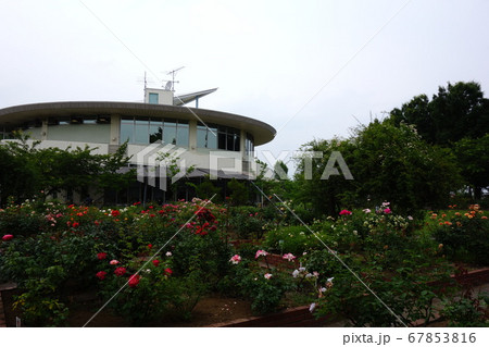 道の駅めぬまアグリパークバラ園 67853816