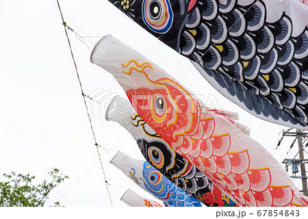 こいのぼり 67854843