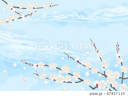 装飾背景-白梅と青空 67857110