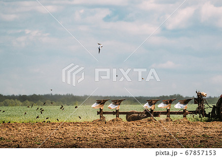 Flock Of Birds Of Seagull Flies Behind Tractor Plowing Field In Spring Season. Beginning Of Agricultural Spring Season Flock Of Birds Of Seagull Flies Behind Tractor Plowing Field In Spring Season. Beginning Of Agricultural Spring Season 67857153