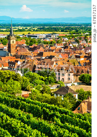 Obernai town with vineyards in Bas-Rhin, France 67857157