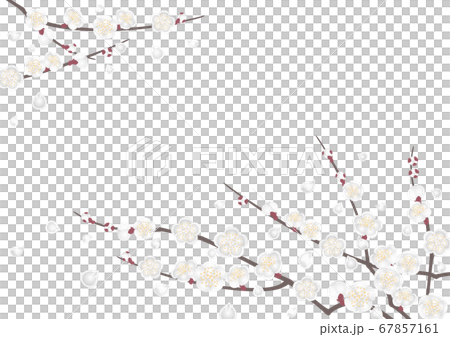 Decorative frame-white plum Decorative frame-white plum 67857161