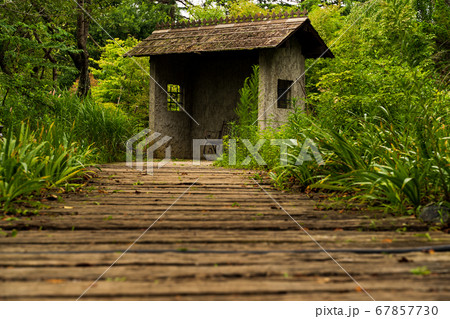 虫目線 小屋01の写真素材 67857730 Pixta
