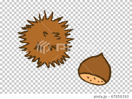 クレヨン画 栗のイラストのイラスト素材