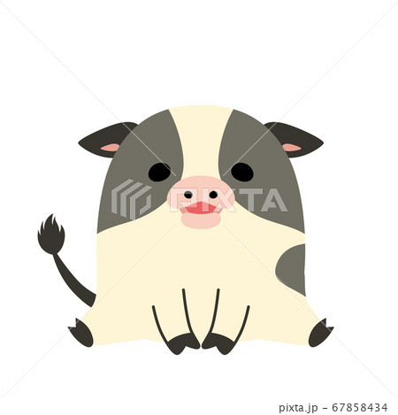 ちょこんと座っているぽっちゃりした可愛い牛 67858434