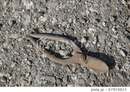 錆びた花鋏 67859815