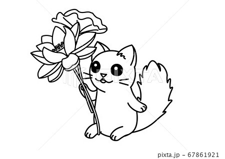 vector cute cartoon little cat. vector cute cartoon little cat. 67861921