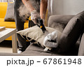 Pandemic series: Disinfect pillow with hot steam 67861948