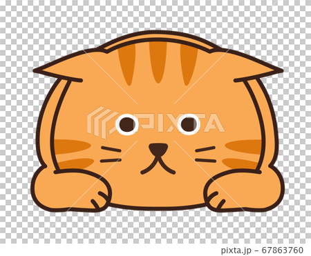 伏せて狙うチャトラ猫 イラストのイラスト素材 [67863760] - PIXTA
