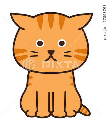 耳を伏せるチャトラ猫　イラスト 67863763