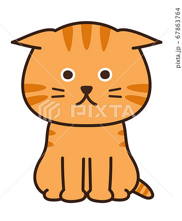 耳を伏せるチャトラ猫　イラスト 67863764